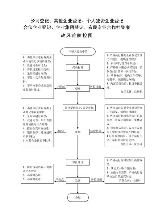 个人独资企业登记全流程解析 企业登记代理的必要性与实操指南